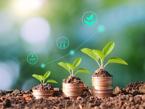 Bond Investment Strategies